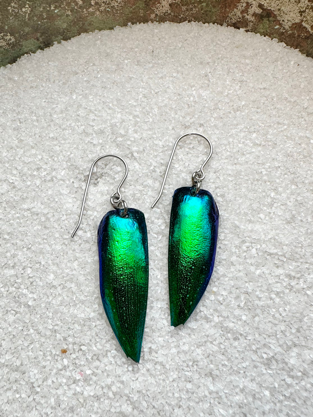 colorful statement earrings luminous green beetle elytra earrings hypoallergenic surgical steel hooks for sensitive ears vibrant green earrings perfect gift $20 and under free shipping girlfriend wife teacher hair stylist insect lover earrings
