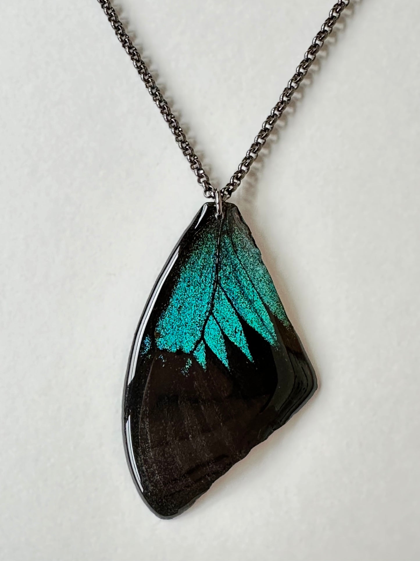 Real Blue Mountain Butterfly Wing Necklace Steel