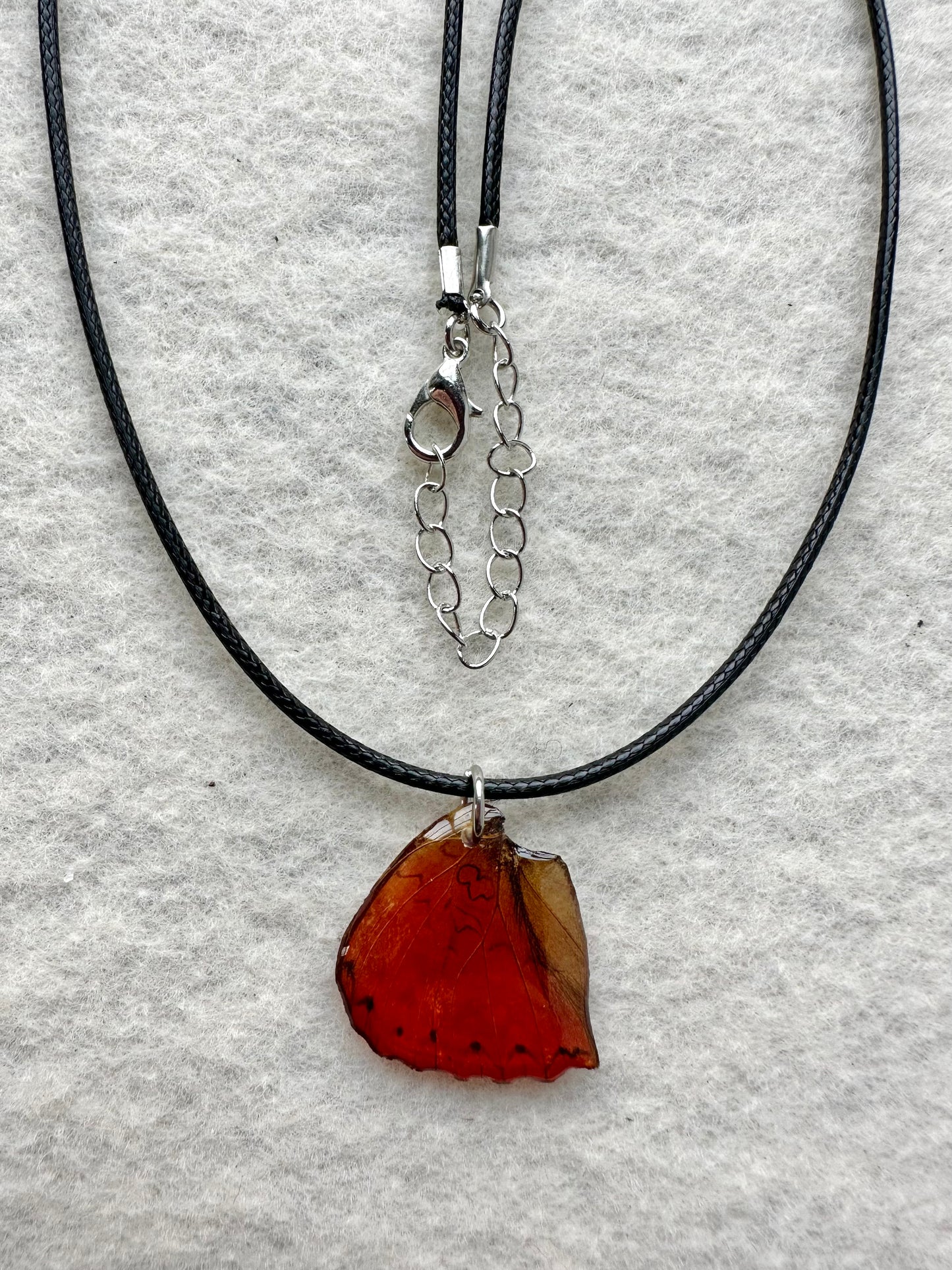 Real Blood Red Glider Butterfly Wing Necklace