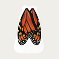 Flat lay of baby sleep sack showing monarch butterfly wings printed naturally across the back on a white fabric body.