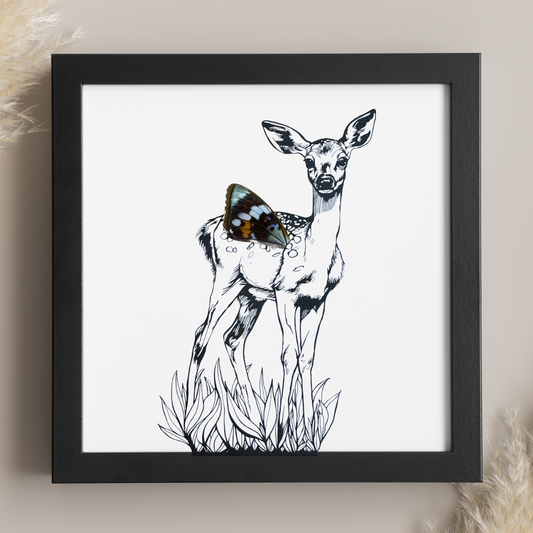 Fawn Whitetail Deer Real Butterfly Wing Framed Black and White Art From and For Conservation