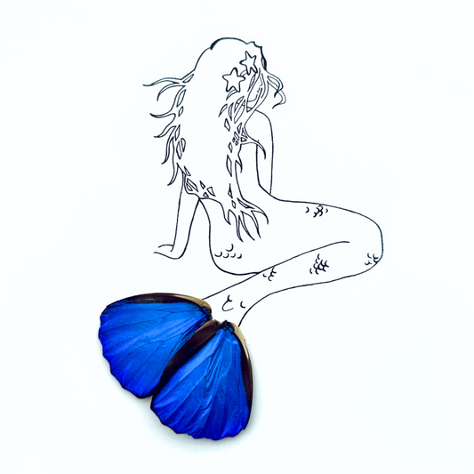Mermaid Real Butterfly Wing Framed Art From and For Conservation