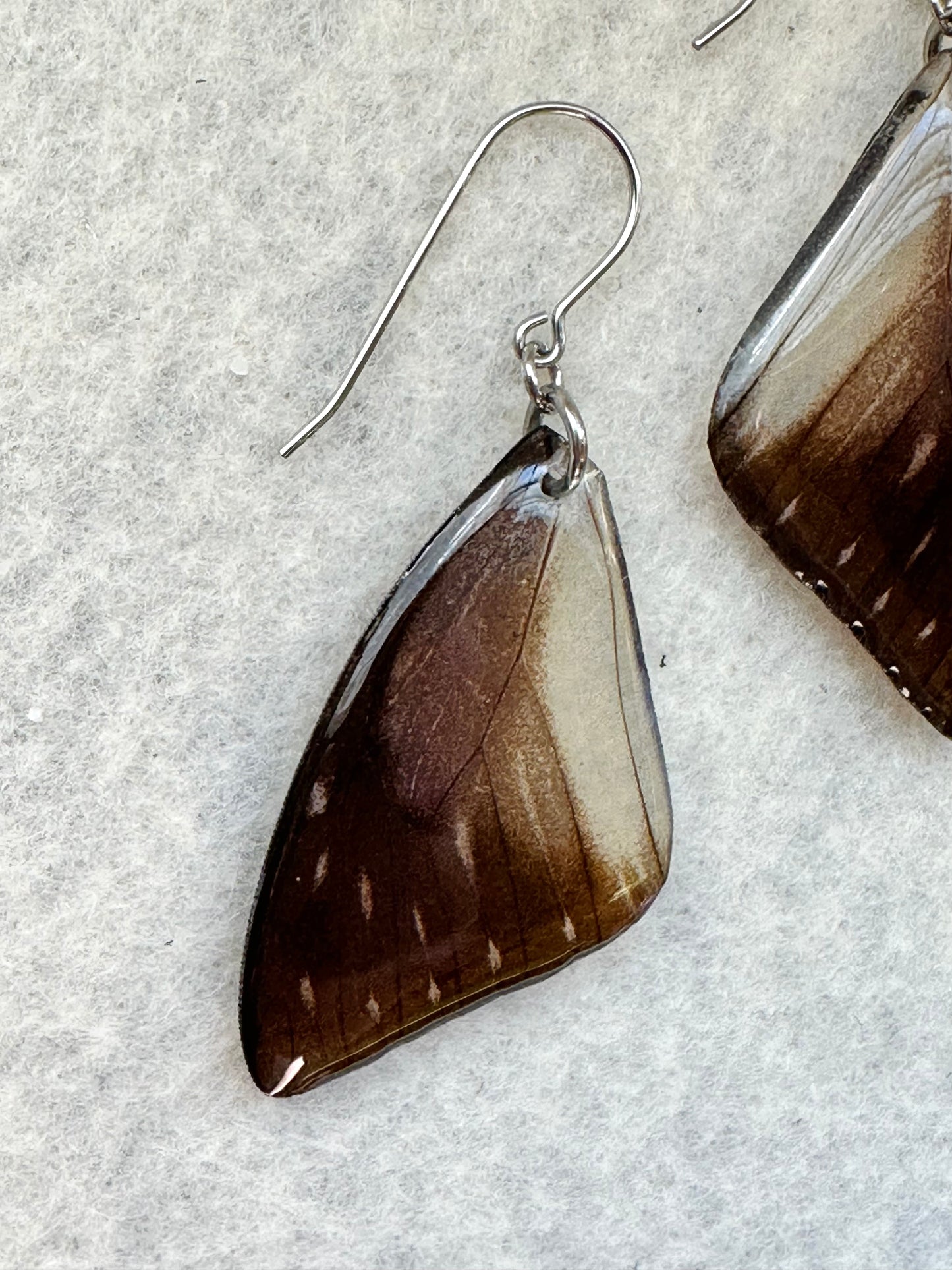 Real Spotted Sawtooth Butterfly Wing Surgical Steel Earrings
