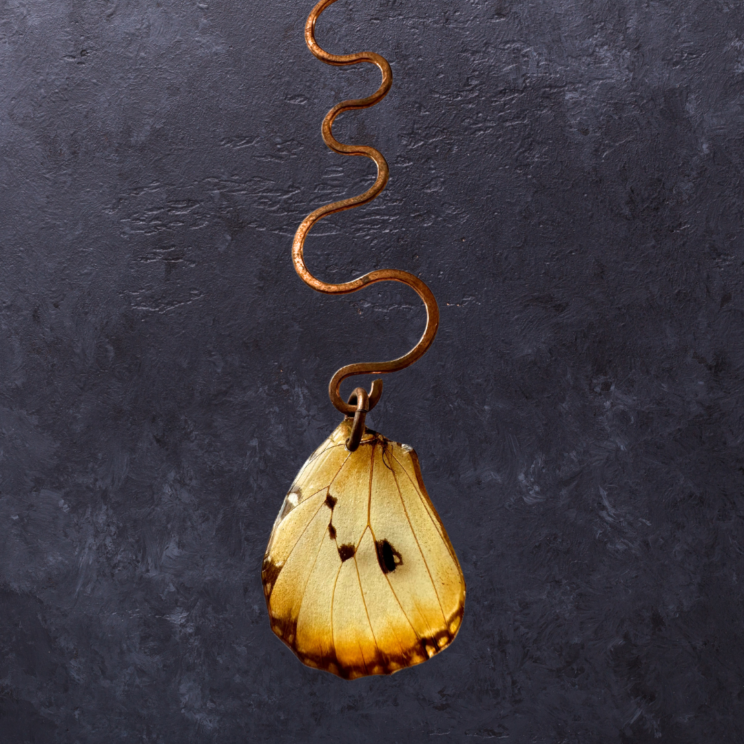 Real Plain Tiger African Monarch (Danaus chrysipus) Butterfly Wing Suncatcher Window Hanging with handformed Copper