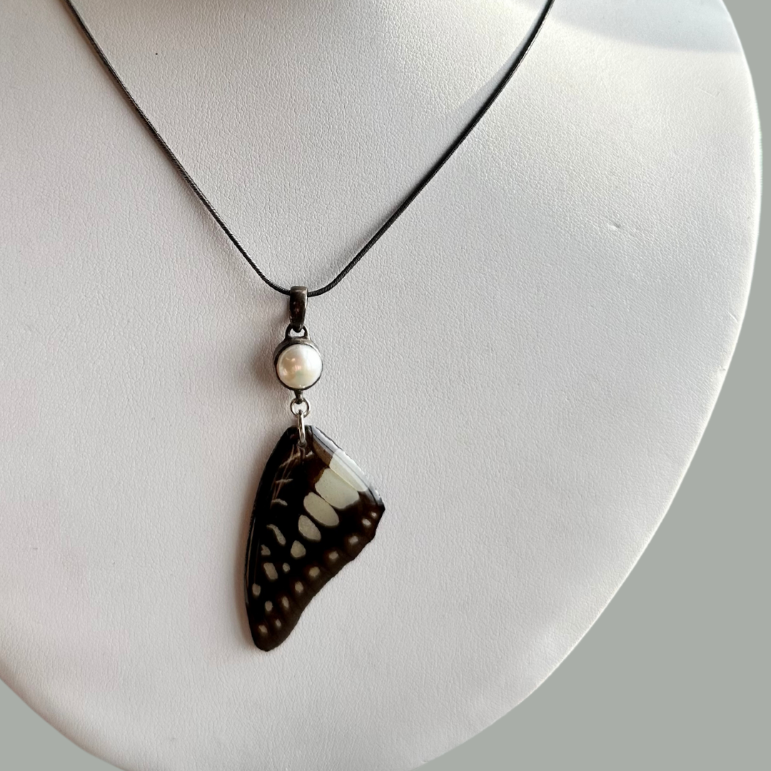 Real Common Jay Butterfly Wing Necklace Pearl Sterling Silver Snake Chain