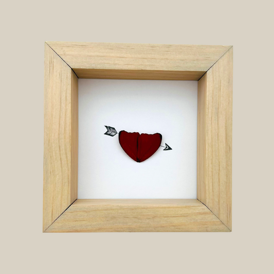 Arrow Heart Love Real Butterfly Wing Art Ethically Sourced Made in MN USA - Holly Ulm - Isms Butterfly Conservation Art