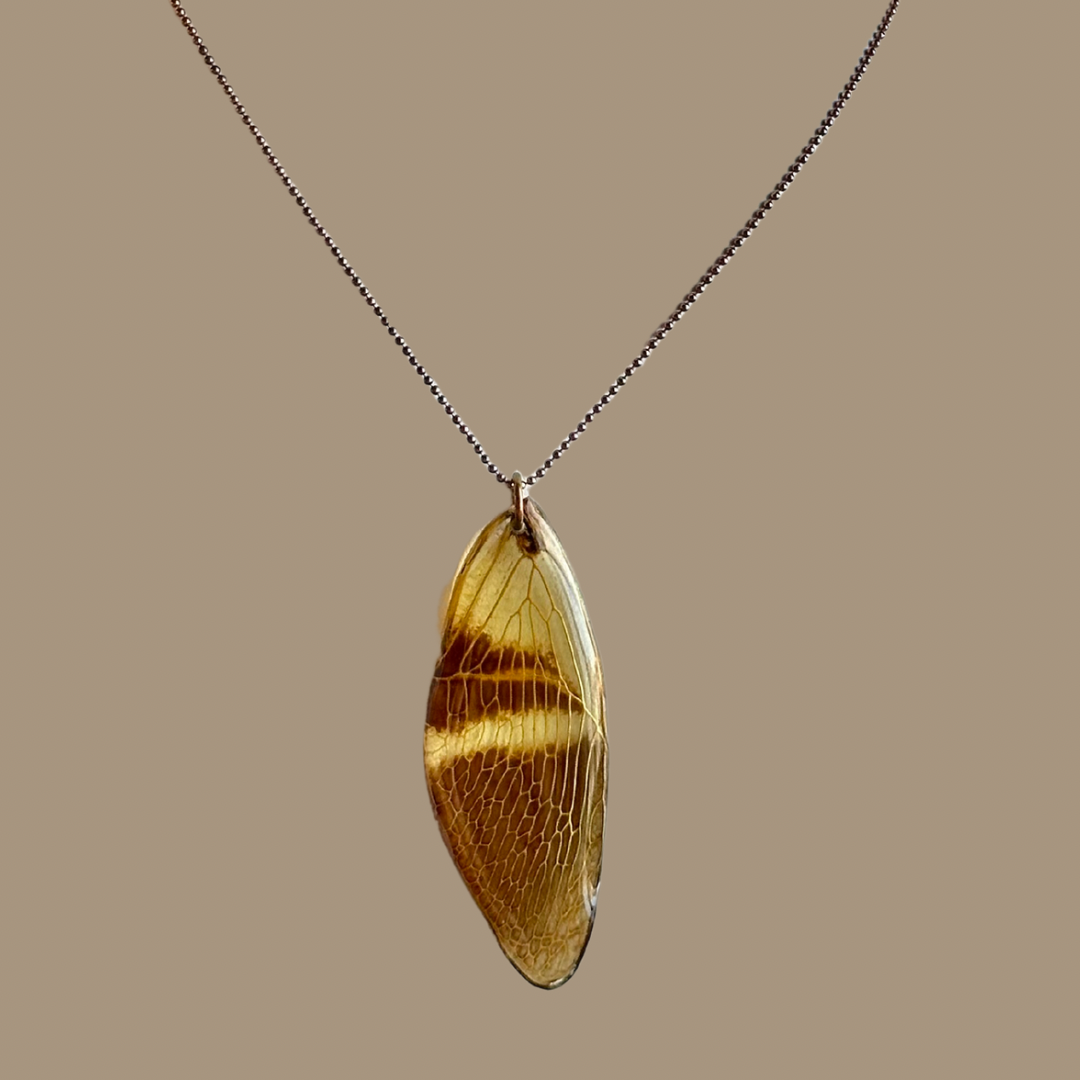 Floridula Cicada Wing with Rose Gold Ball Chain Necklace