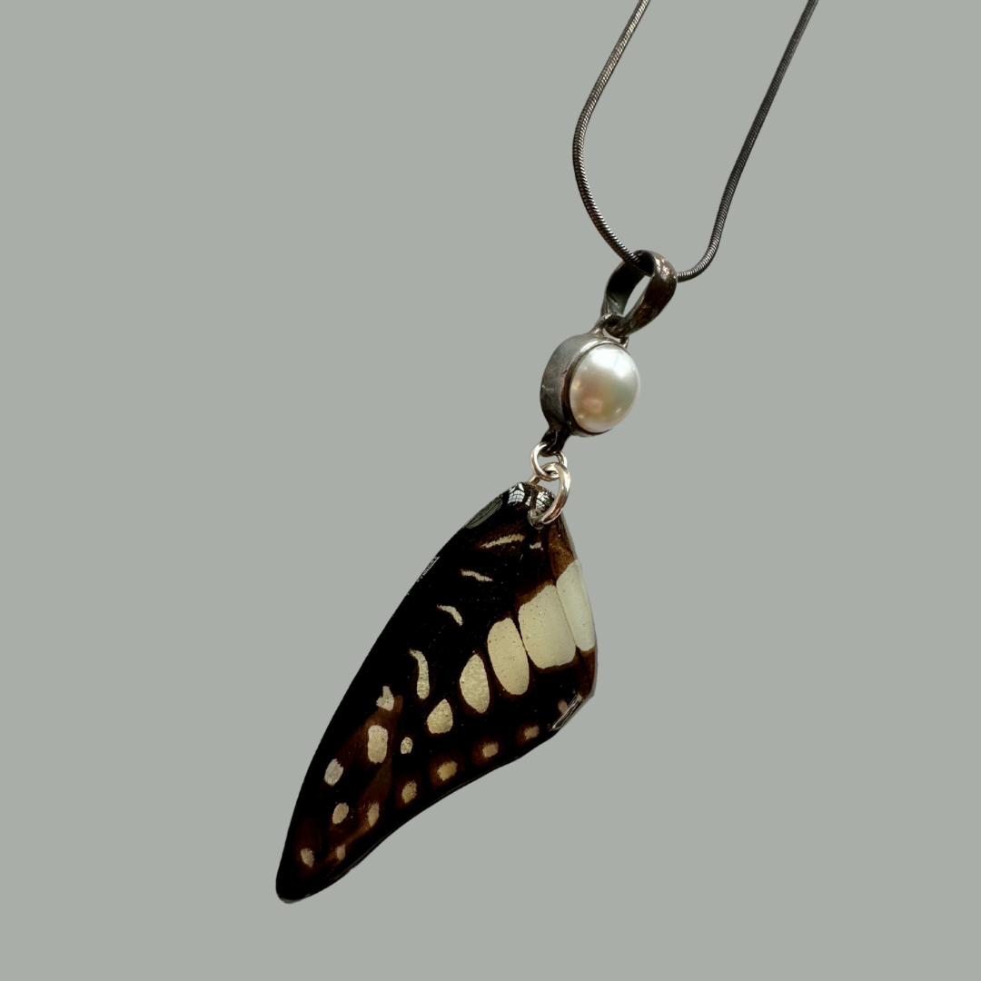 Real Common Jay Butterfly Wing Necklace Pearl Sterling Silver Snake Chain