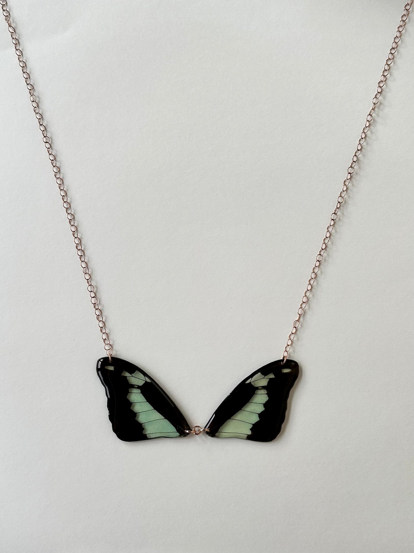 Real Green Apple Swallowtail Butterfly Wing Bow tie Necklace Rose Gold (Papilio phorcas)
