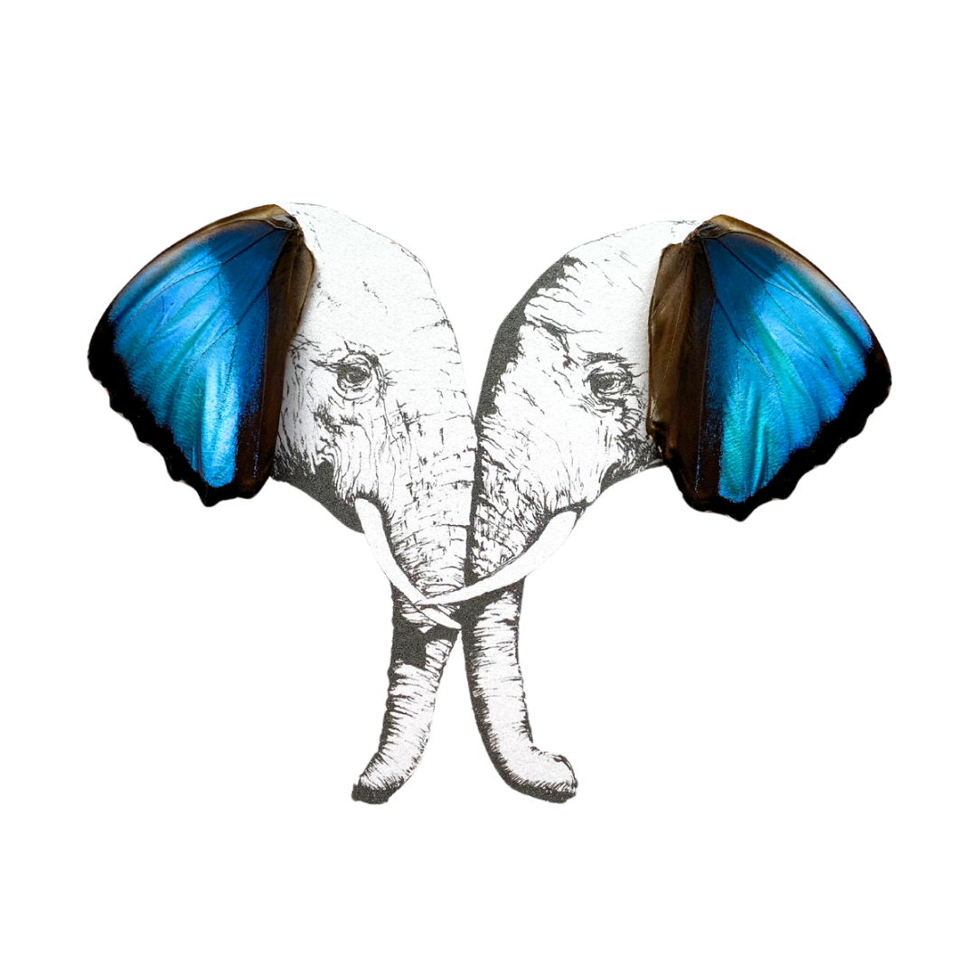 Elephants with Butterfly Wing Ears Framed Art Butterfly Wings From and For Conservation