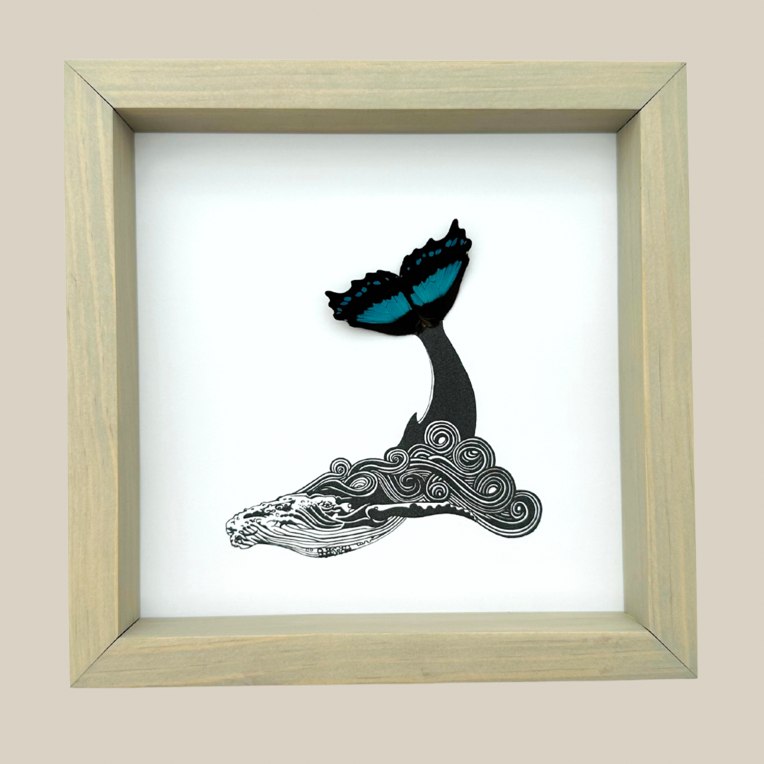 Humpback Whale Tail Underwater Art Real Butterfly Wing Framed Ethically Sourced Made in MN USA - Holly Ulm - Isms Butterfly Conservation Art
