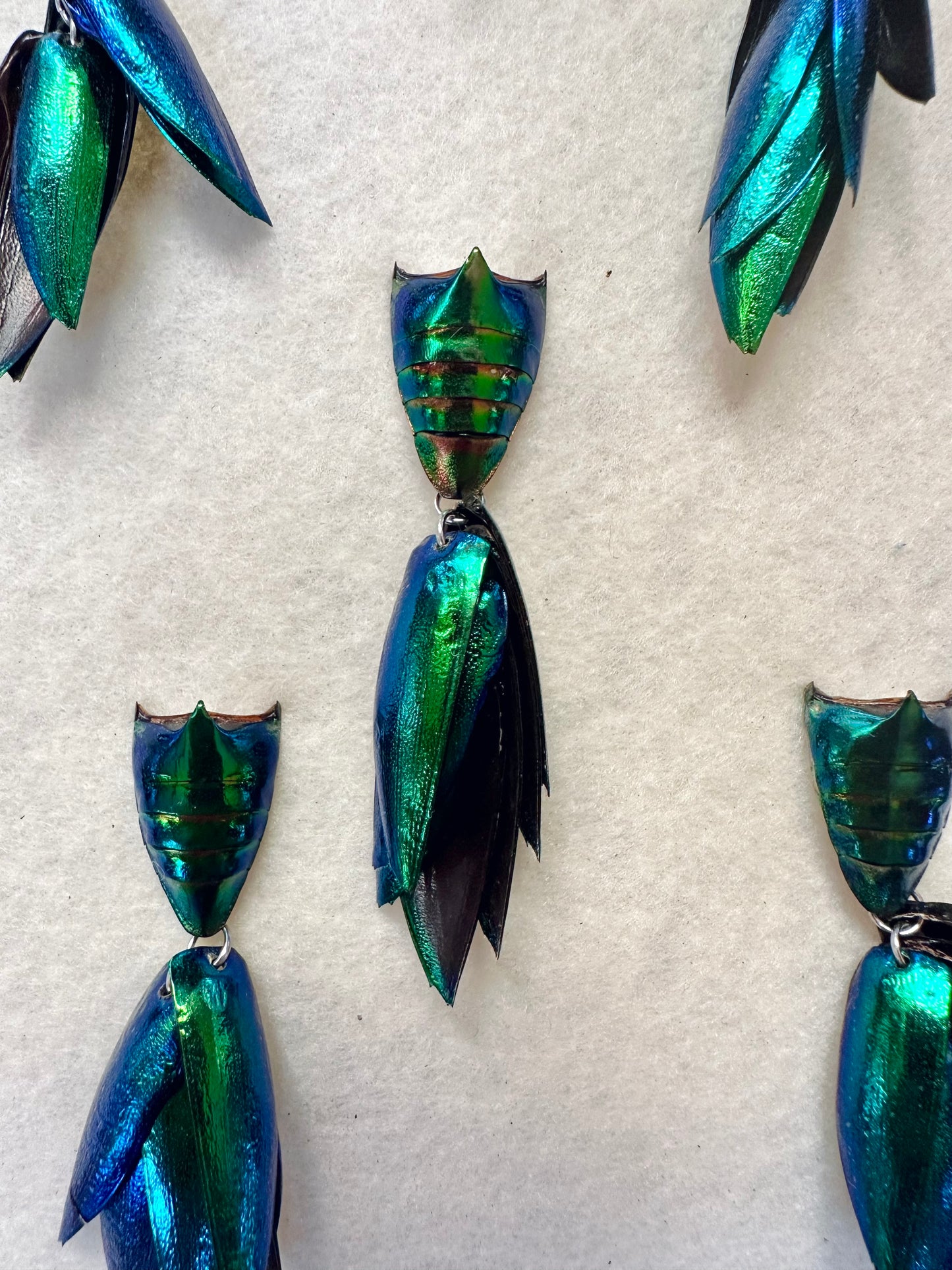 Elytra Beetle Pins - Unique Insect Accessories