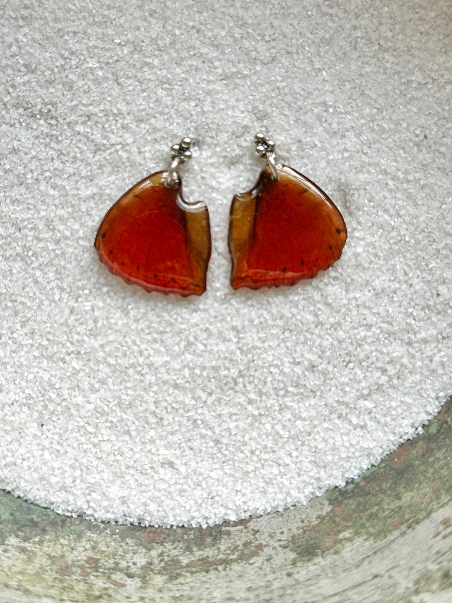 Real Blood Red Glider Butterfly Post Earrings with Sterling Silver