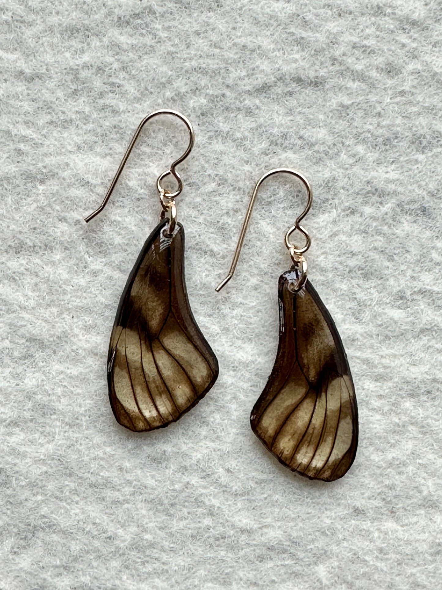 Real Glasswing Butterfly Wing Earrings on Gold Hooks