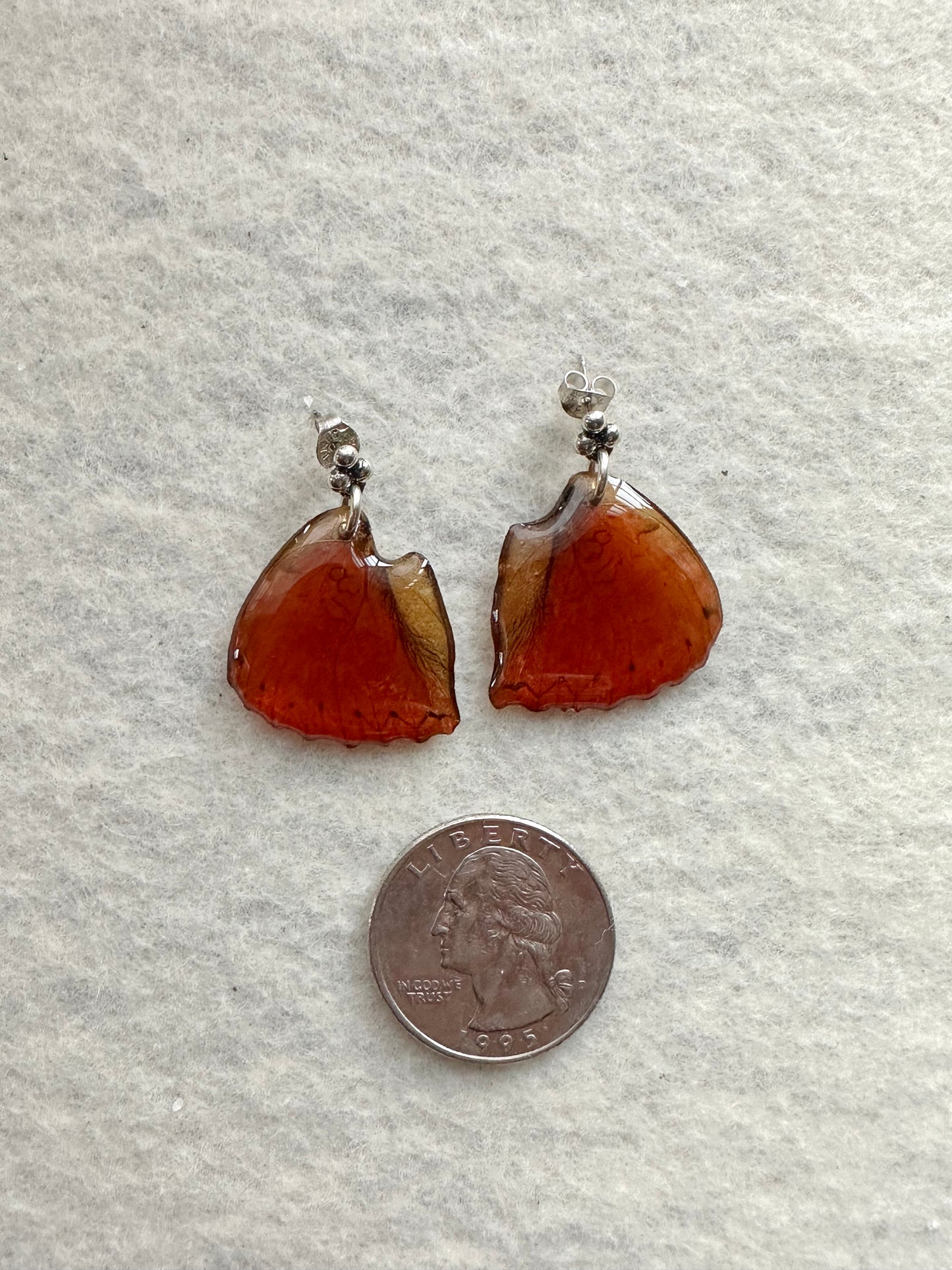 Real Blood Red Glider Butterfly Post Earrings with Sterling Silver