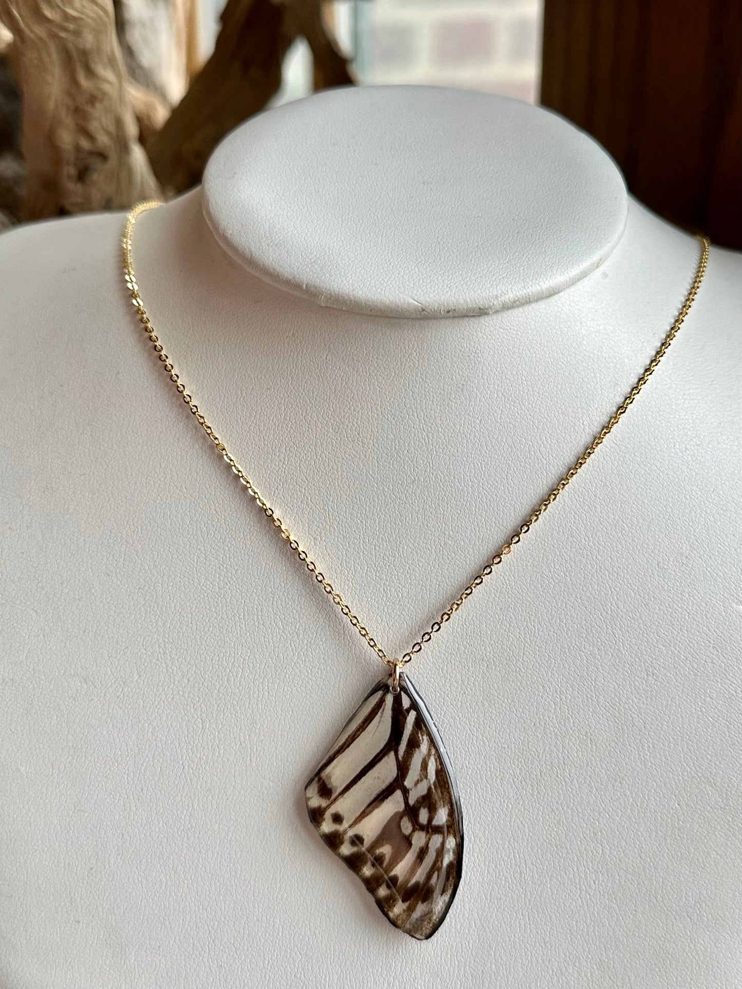 Real Malayan Zebra Butterfly Necklace