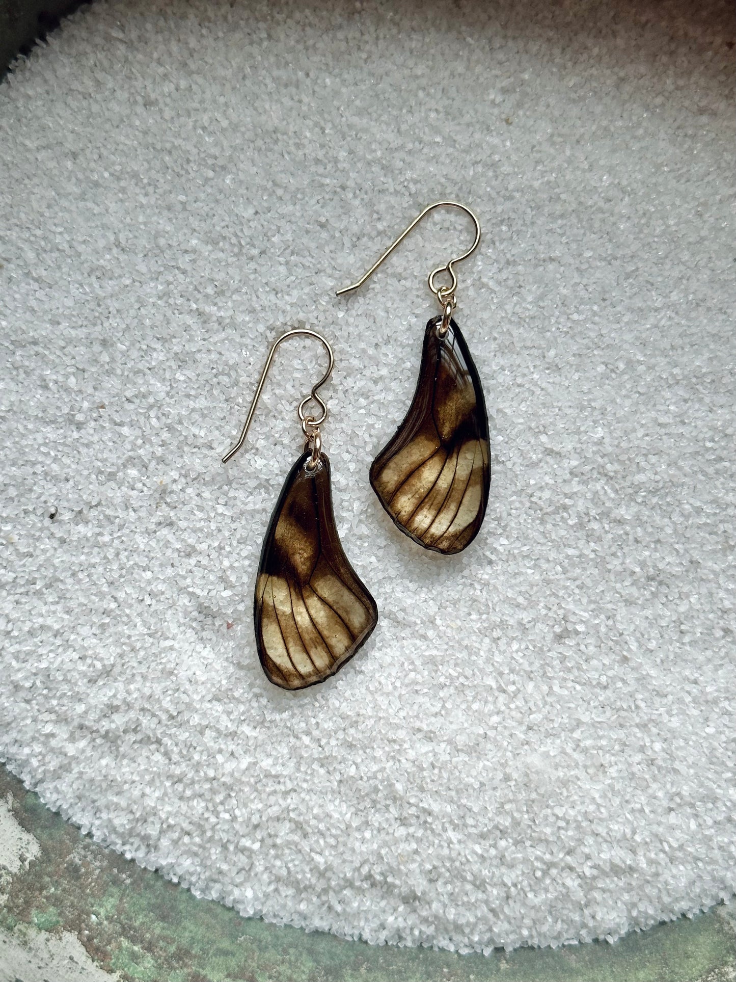 Real Glasswing Butterfly Wing Earrings on Gold Hooks