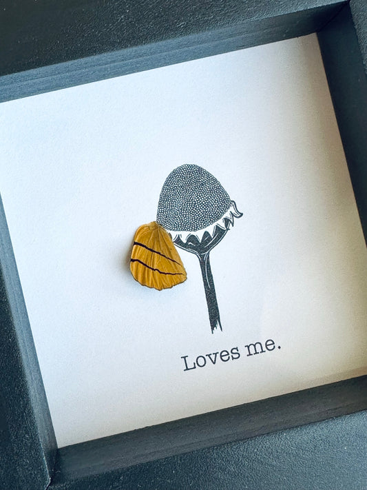 Loves Me Loves Me Not Flower Real Butterfly Wing Petal Framed Art From and For Conservation