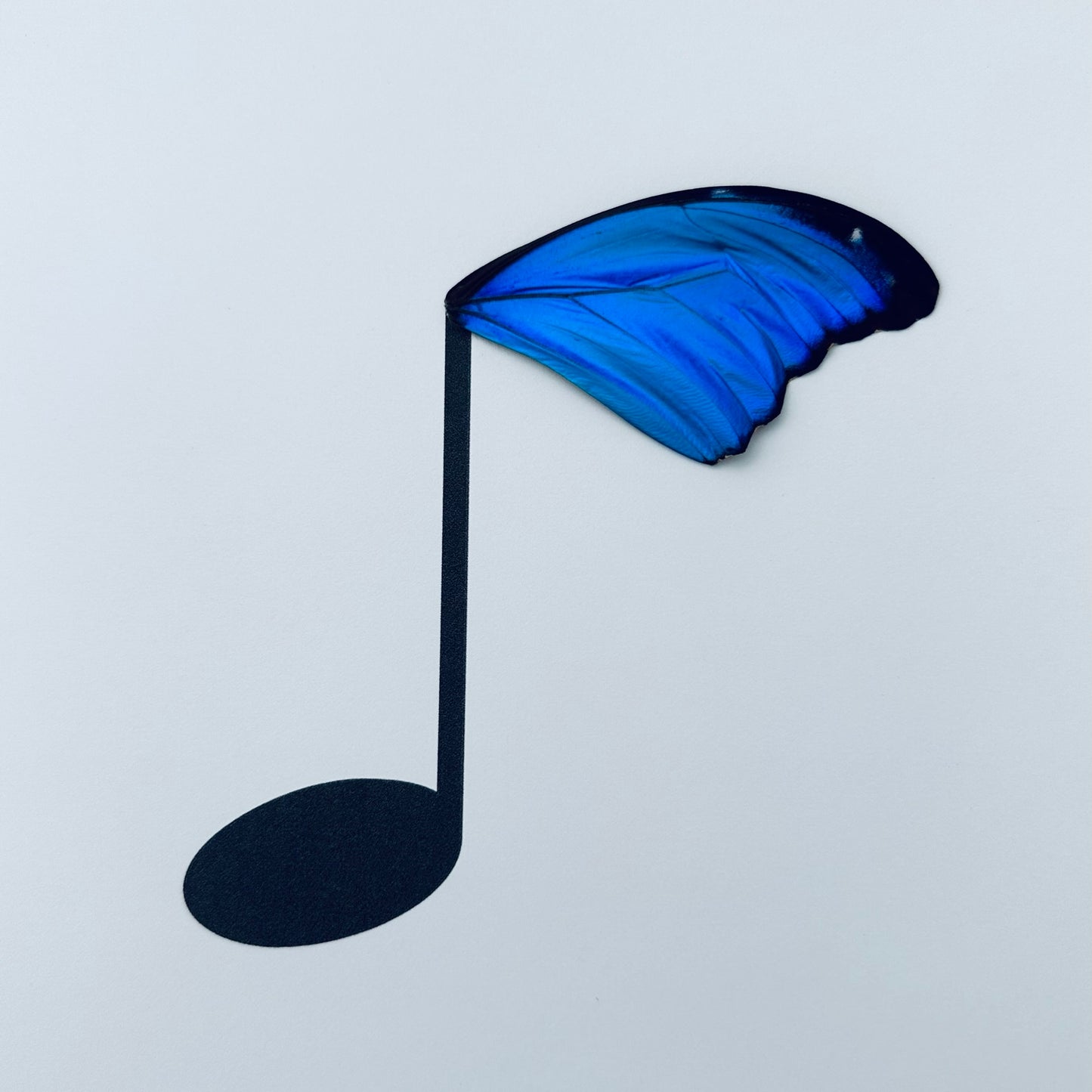 Music Quarter Note Real Butterfly Wing Framed Wall Shelf Art Ethically Sourced Made in MN USA - Holly Ulm - Isms Butterfly Conservation Art