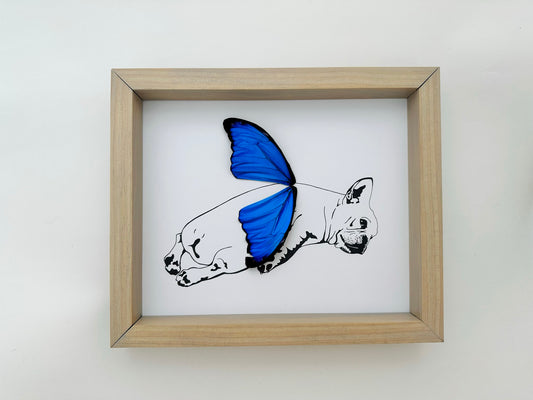 Frenchie French Bull Dog Real Butterfly Wing Art From and For Conservation