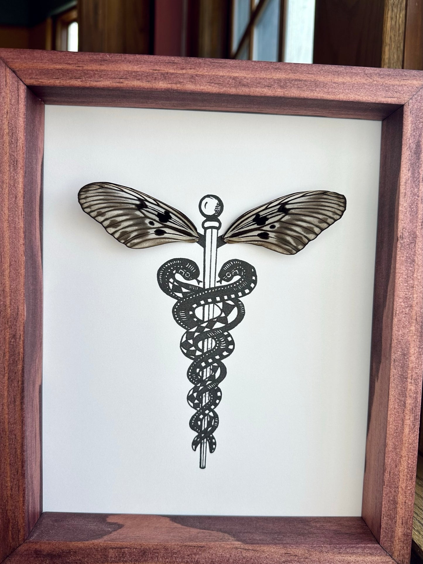 Caduceus Medical Symbol Real Butterfly Wings Art Ethically Sourced Made in MN USA - Holly Ulm - Isms Butterfly Conservation Art