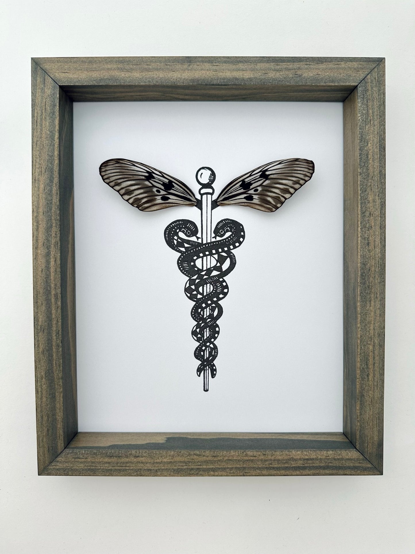 Caduceus Medical Symbol Butterfly Wing ArtFrom and For Conservation