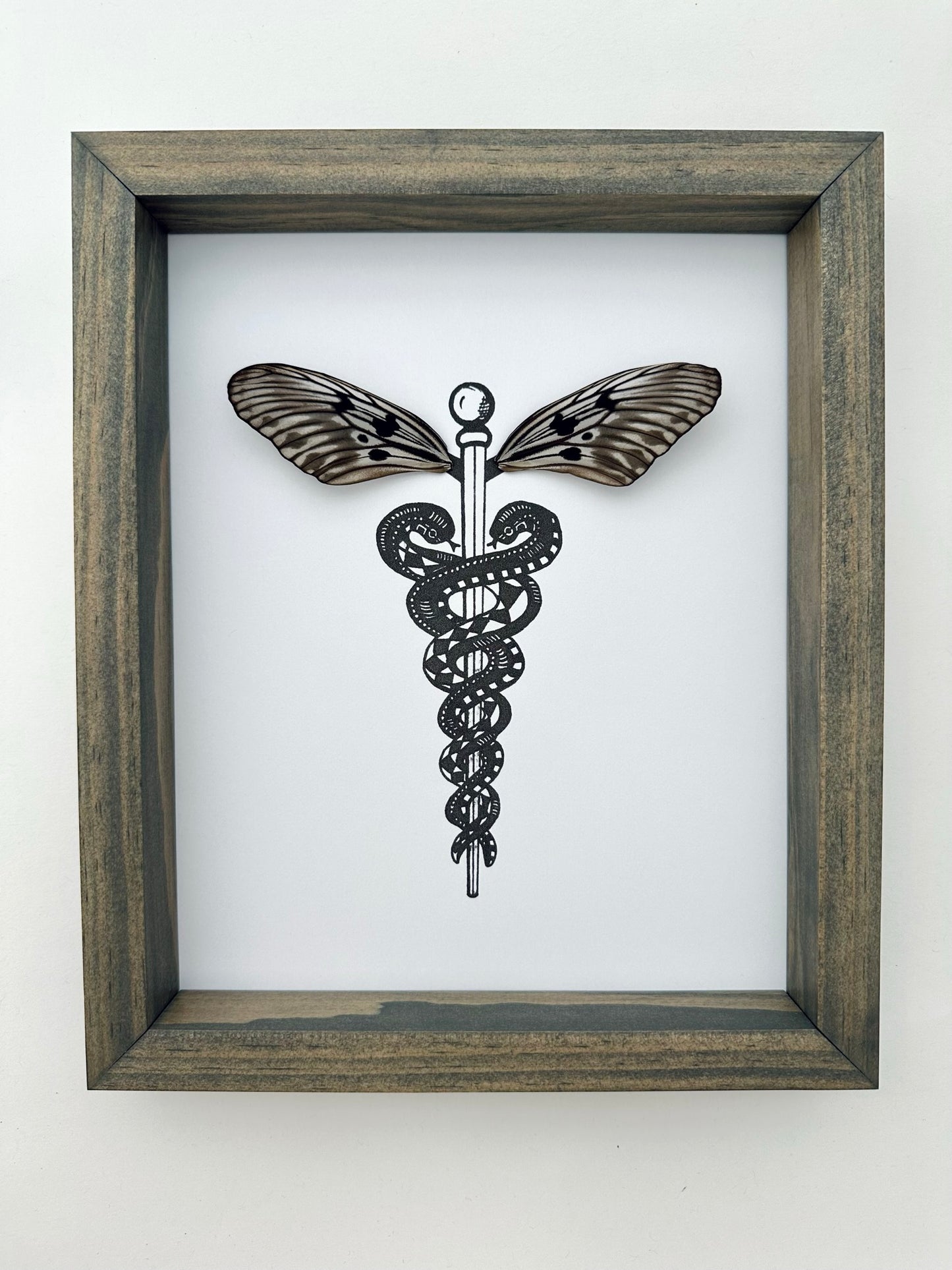 Caduceus Medical Symbol Real Butterfly Wings Art Ethically Sourced Made in MN USA - Holly Ulm - Isms Butterfly Conservation Art
