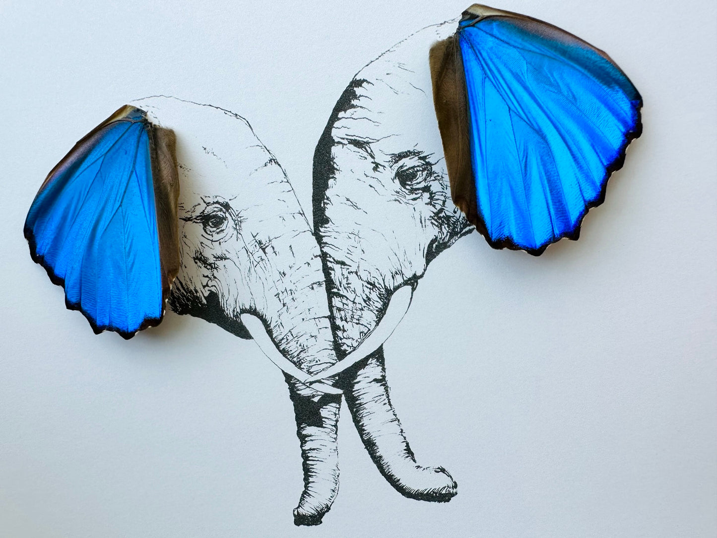 Elephants with Butterfly Wing Ears Framed Art Butterfly Wings From and For Conservation