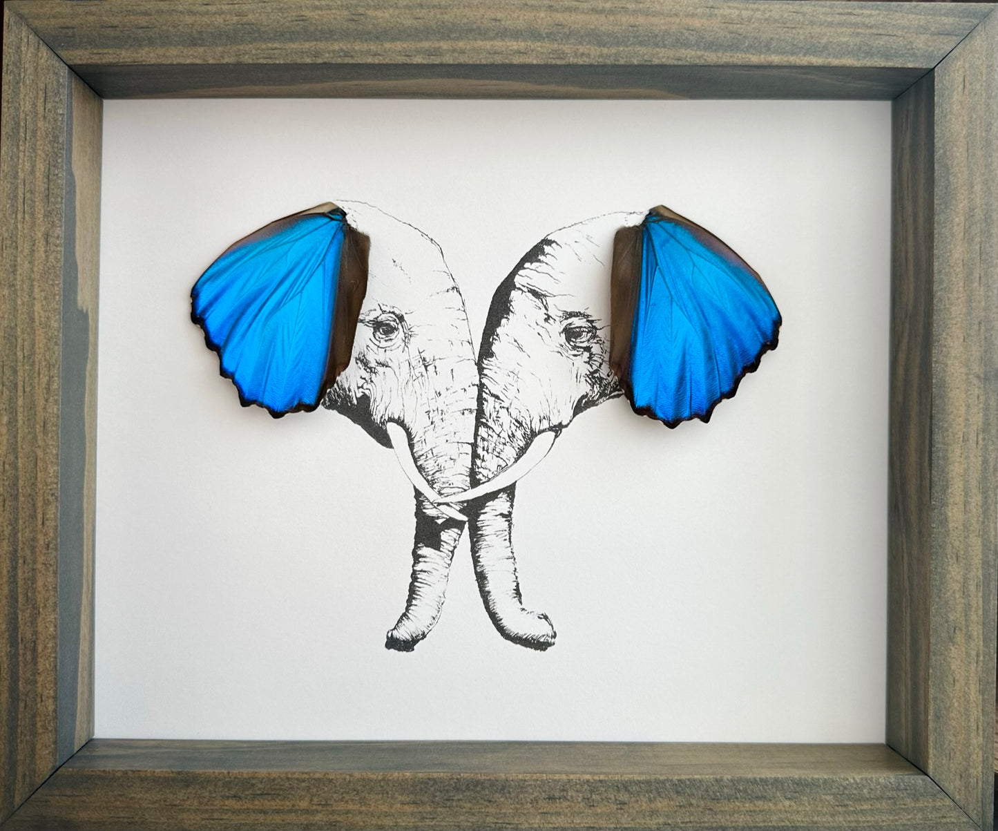 Elephant Pair Real Butterfly Wings Art Ethically Sourced Made in MN USA - Holly Ulm - Isms Butterfly Conservation Art