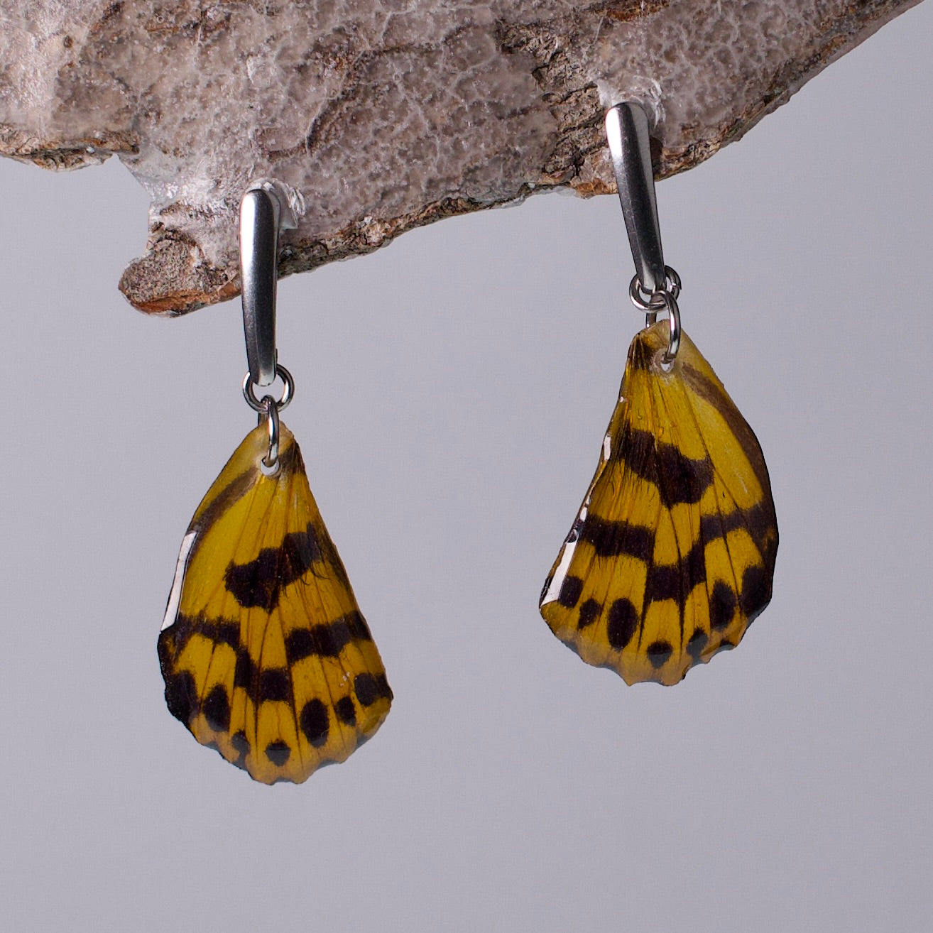 Waterproof Real Moth Earrings False Tiger Moths Hypoallergenic Surgical Steel