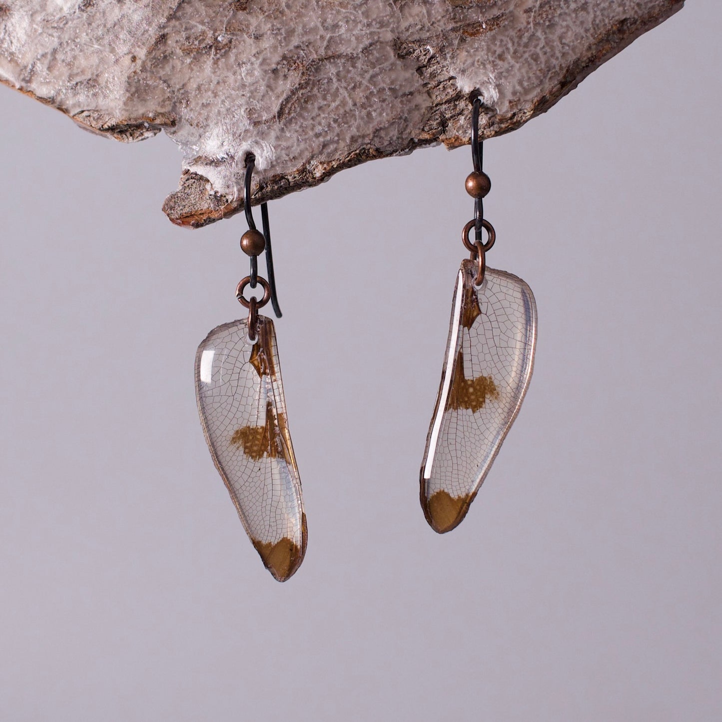 Real Dragonfly Wing Earring - Twelve Spotted Skimmer Dragonflies - Black Niobium