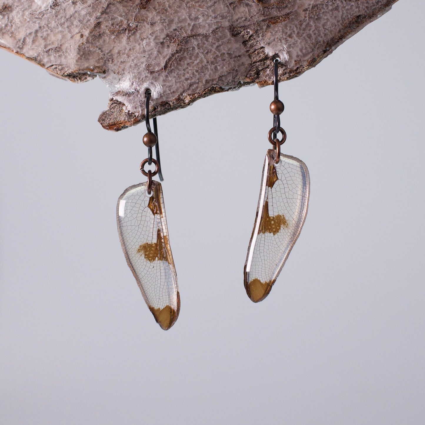 Real Dragonfly Wing Earring - Twelve Spotted Skimmer Dragonflies - Black Niobium