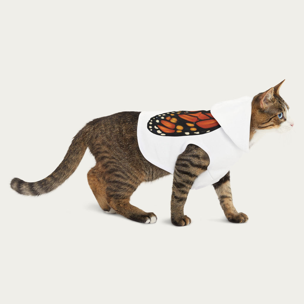 Cat walking forward wearing white pet hoodie showing the monarch butterfly wing design across the back.