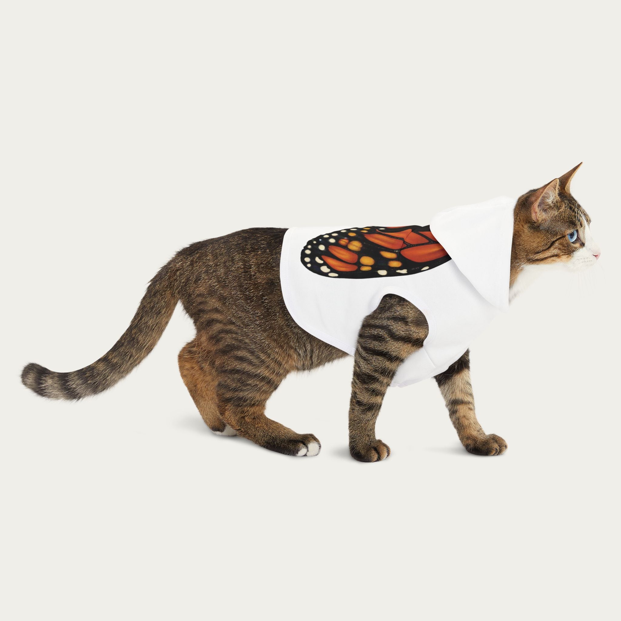 Cat walking forward wearing white pet hoodie showing the monarch butterfly wing design across the back.