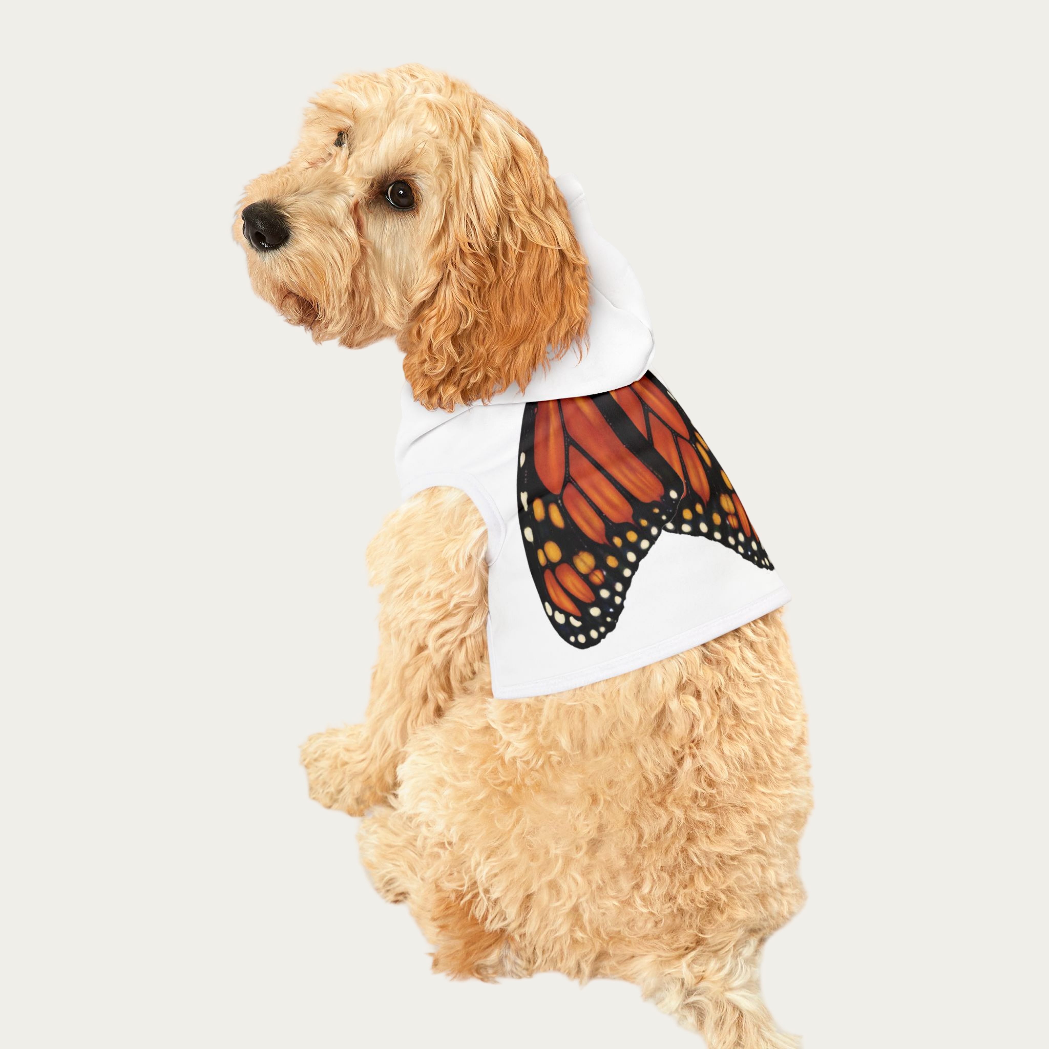Dog sitting wearing white pet hoodie with monarch butterfly wings visible on the back panel.