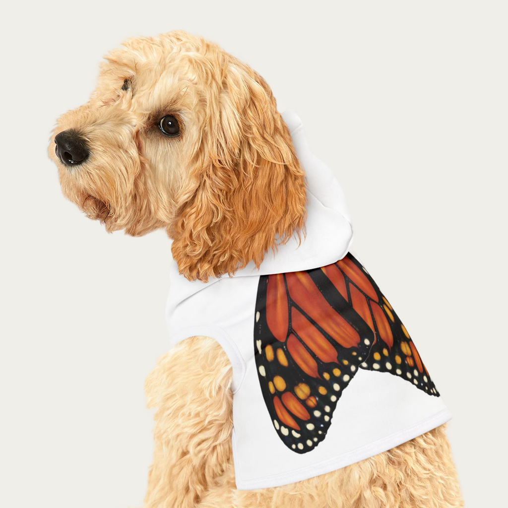 Close‑up of dog sitting while wearing white pet hoodie showing monarch butterfly wings printed across the back.
