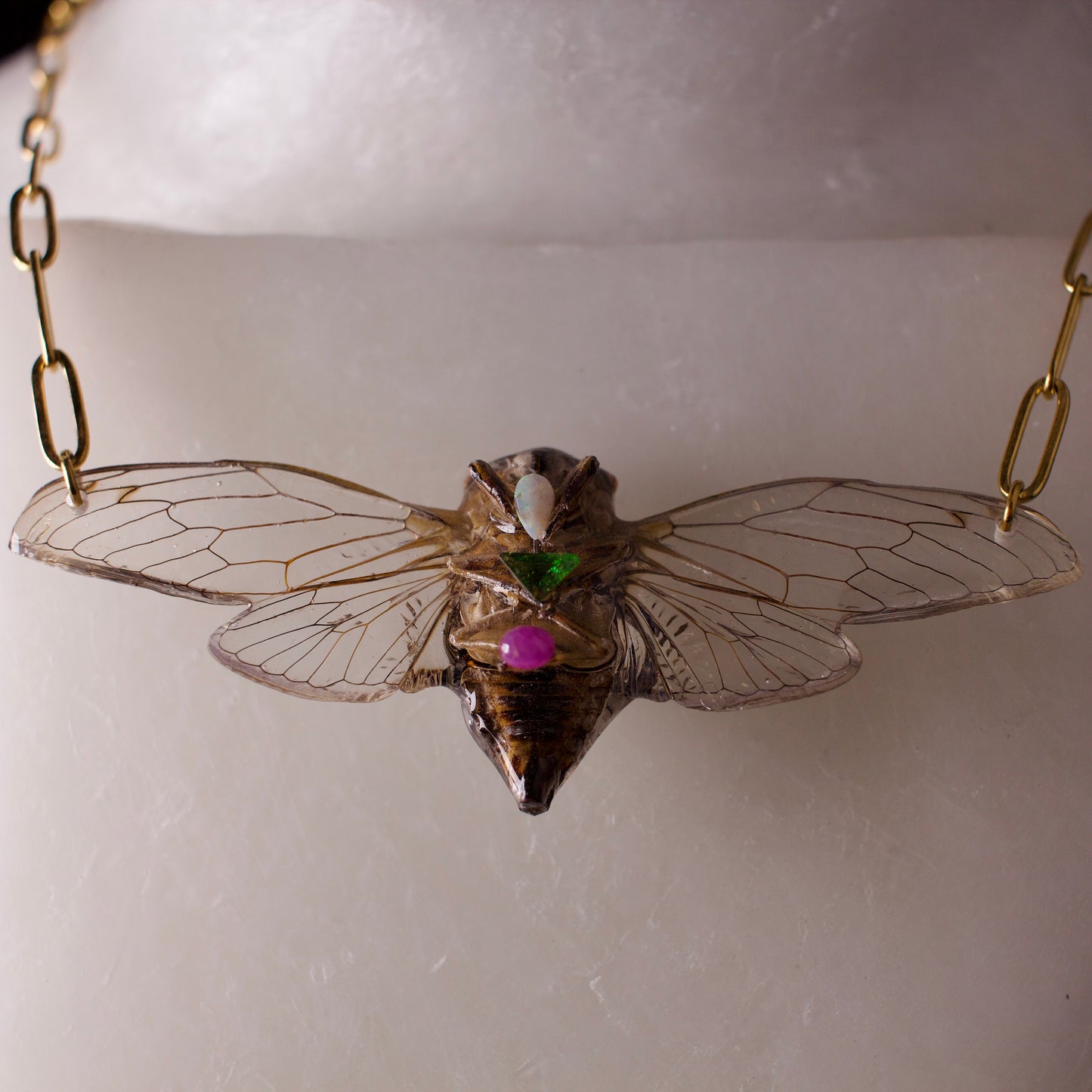 Real cicada necklace Dog Day Cicadas gold paperclip chain opal emerald pink ruby front close up on wax