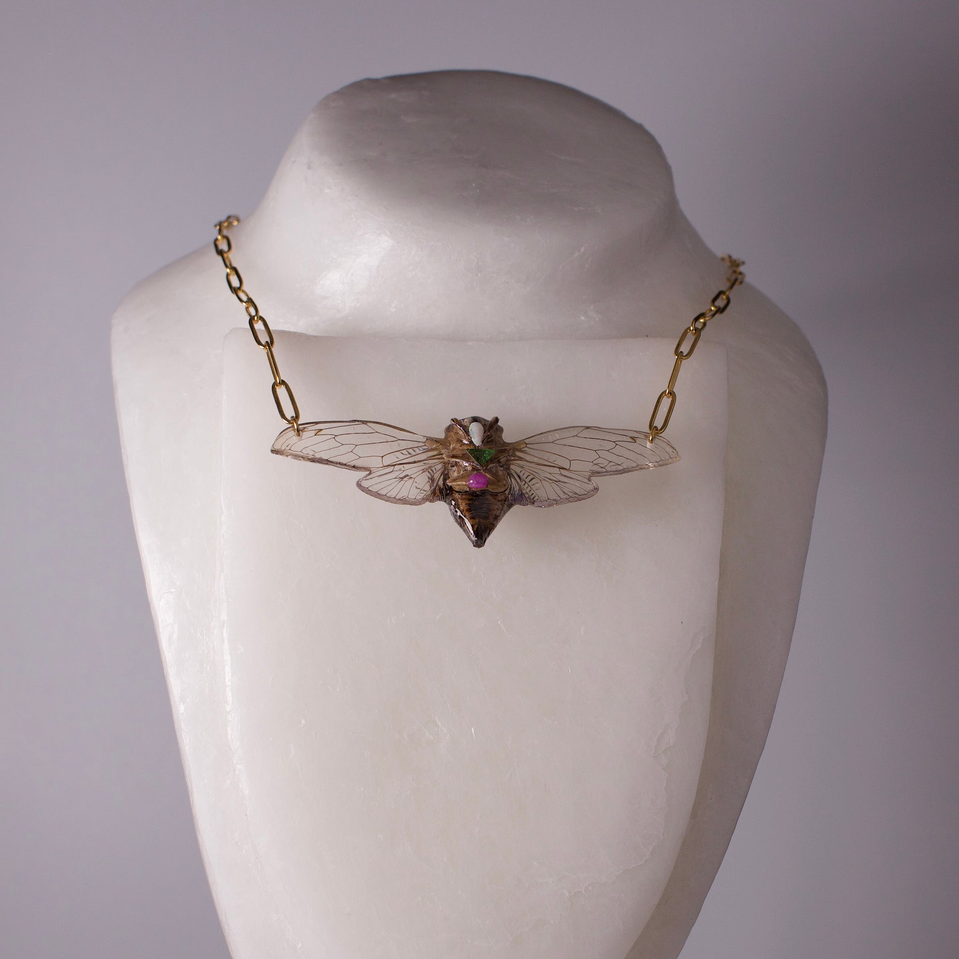 Real cicada necklace Dog Day Cicadas gold paperclip chain opal emerald ruby necklace on neck form