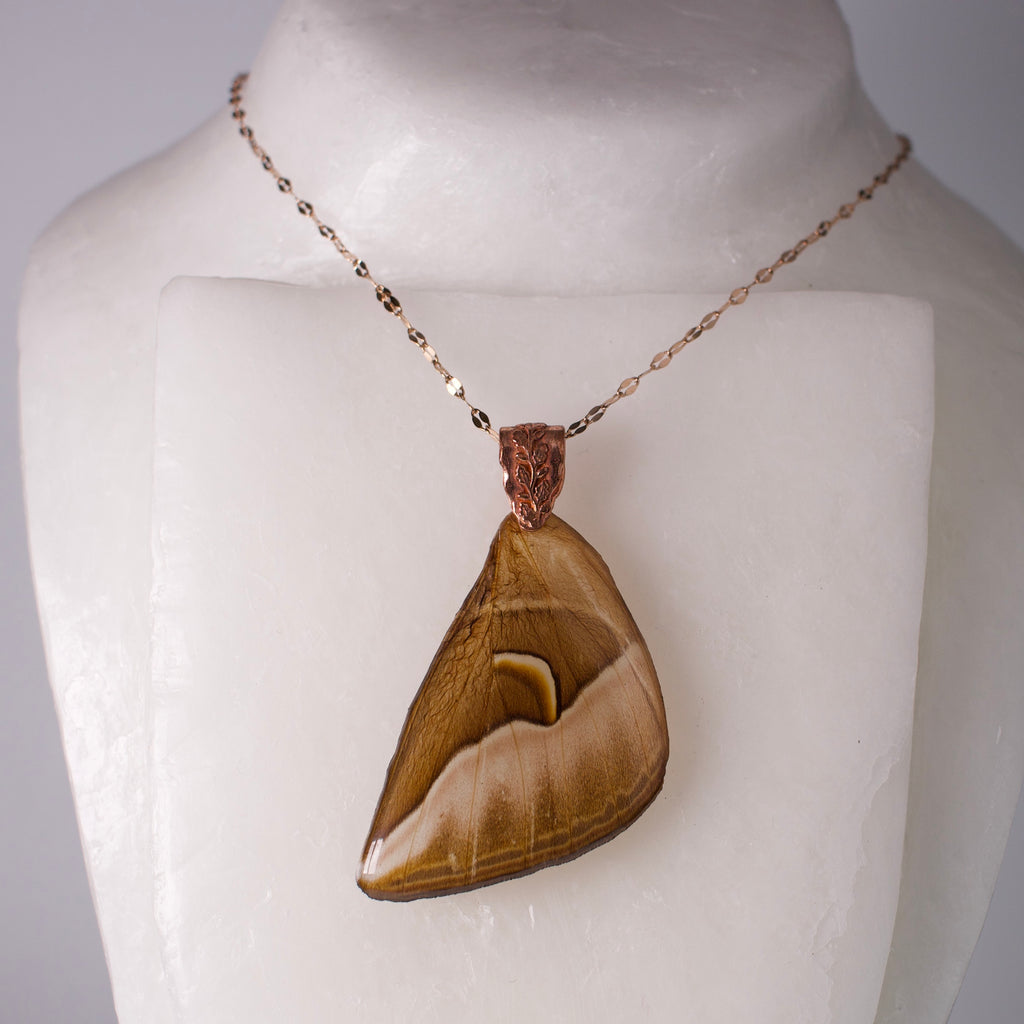 Real silk cecropia moth wing pendant rose gold botanical bail and chain on wax form