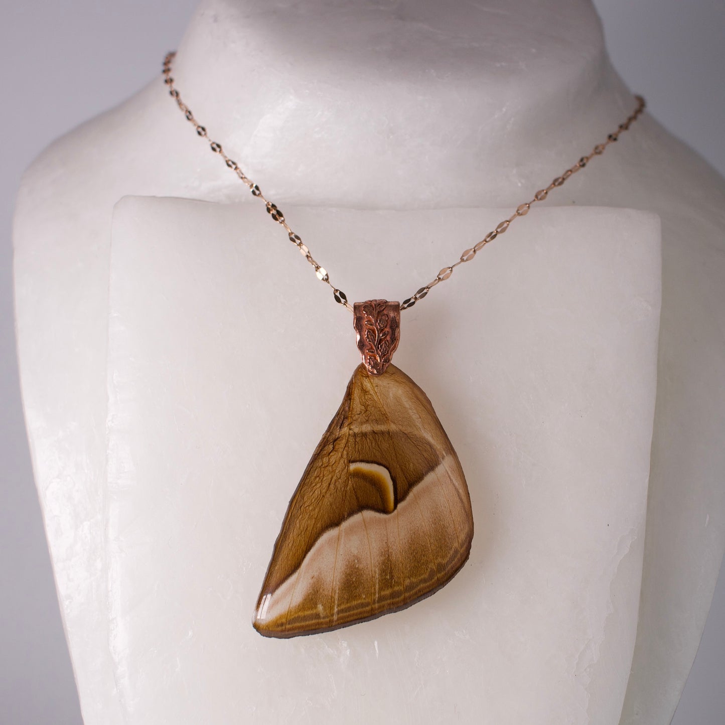 Real silk cecropia moth wing pendant rose gold botanical bail and chain on wax form