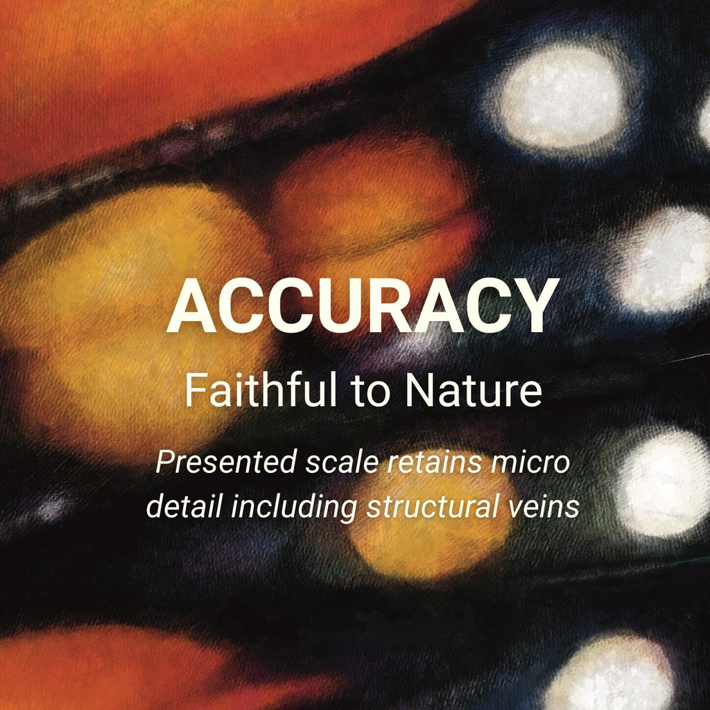 Monarch Wing Drawstring Backpack — Jade Green