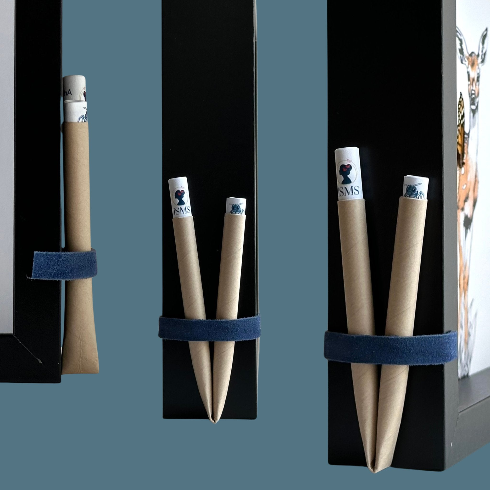 Barn Owl Custom Framed Art with Real Butterfly Wings - Isms Butterfly Conservation ArtFramed Art