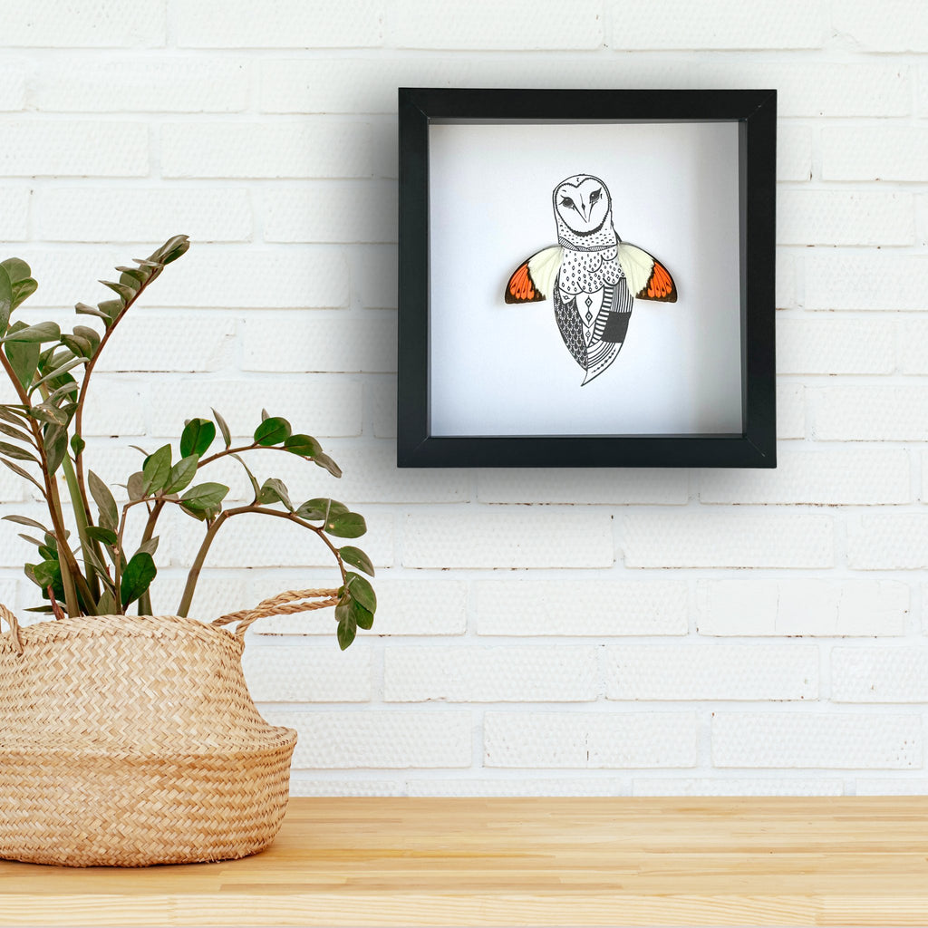 Barn Owl Custom Framed Art with Real Butterfly Wings - Isms Butterfly Conservation ArtFramed Art