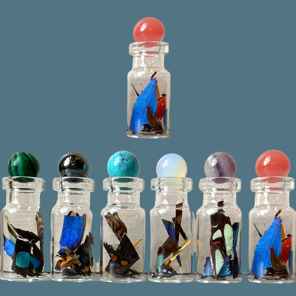 Confetti from Real Butterfly Wing in Glass Bottle - Isms Butterfly Conservation ArtBottles