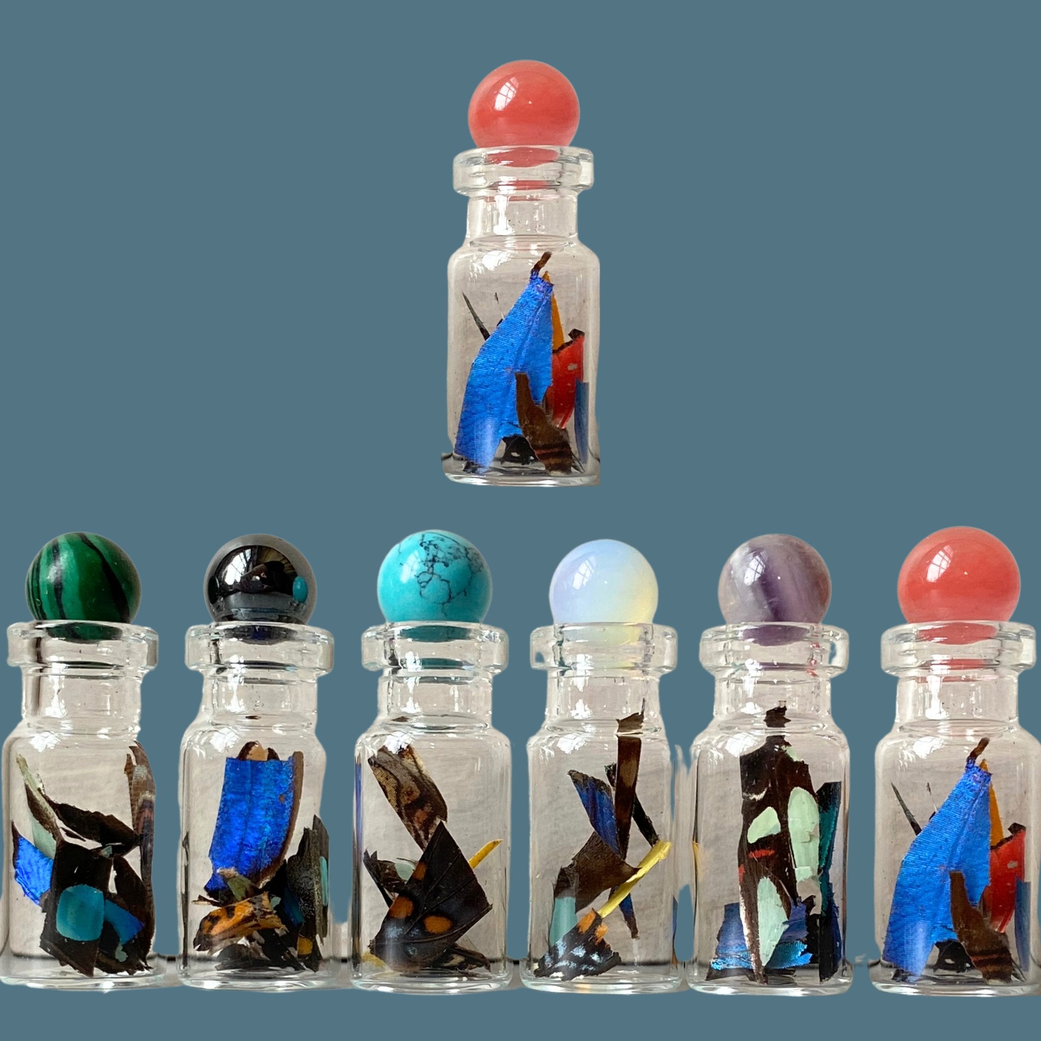 Confetti from Real Butterfly Wing in Glass Bottle - Isms Butterfly Conservation ArtBottles