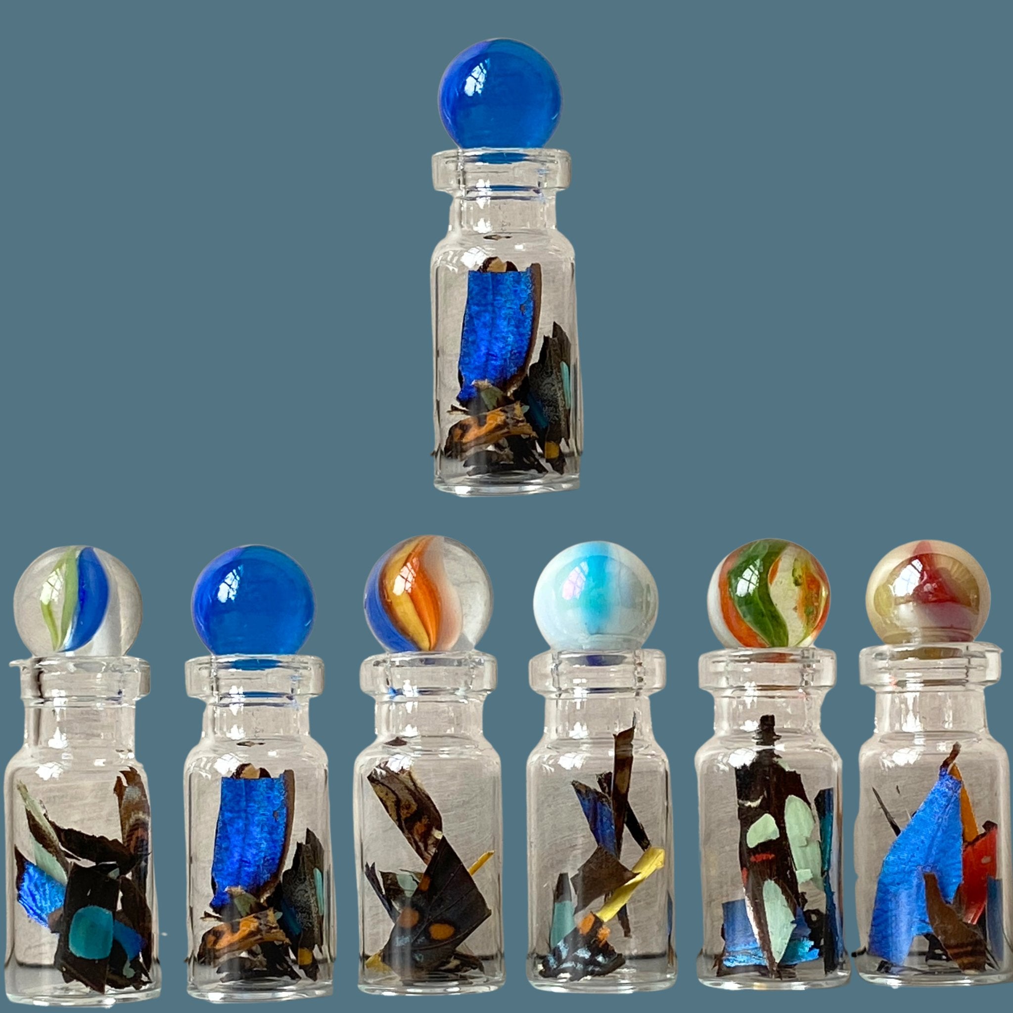 Confetti from Real Butterfly Wing in Glass Bottle - Isms Butterfly Conservation ArtBottles