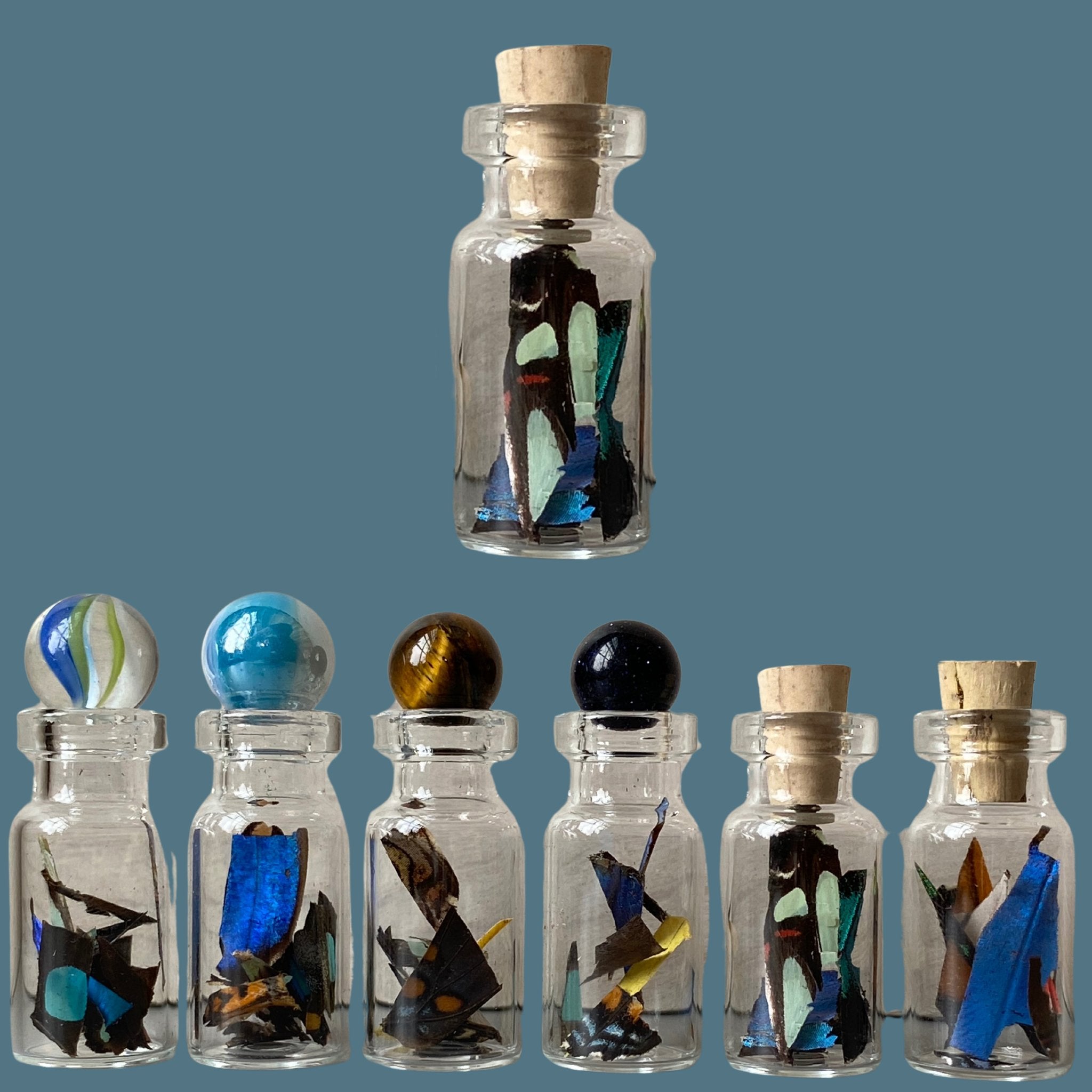 Confetti from Real Butterfly Wing in Glass Bottle - Isms Butterfly Conservation ArtBottles