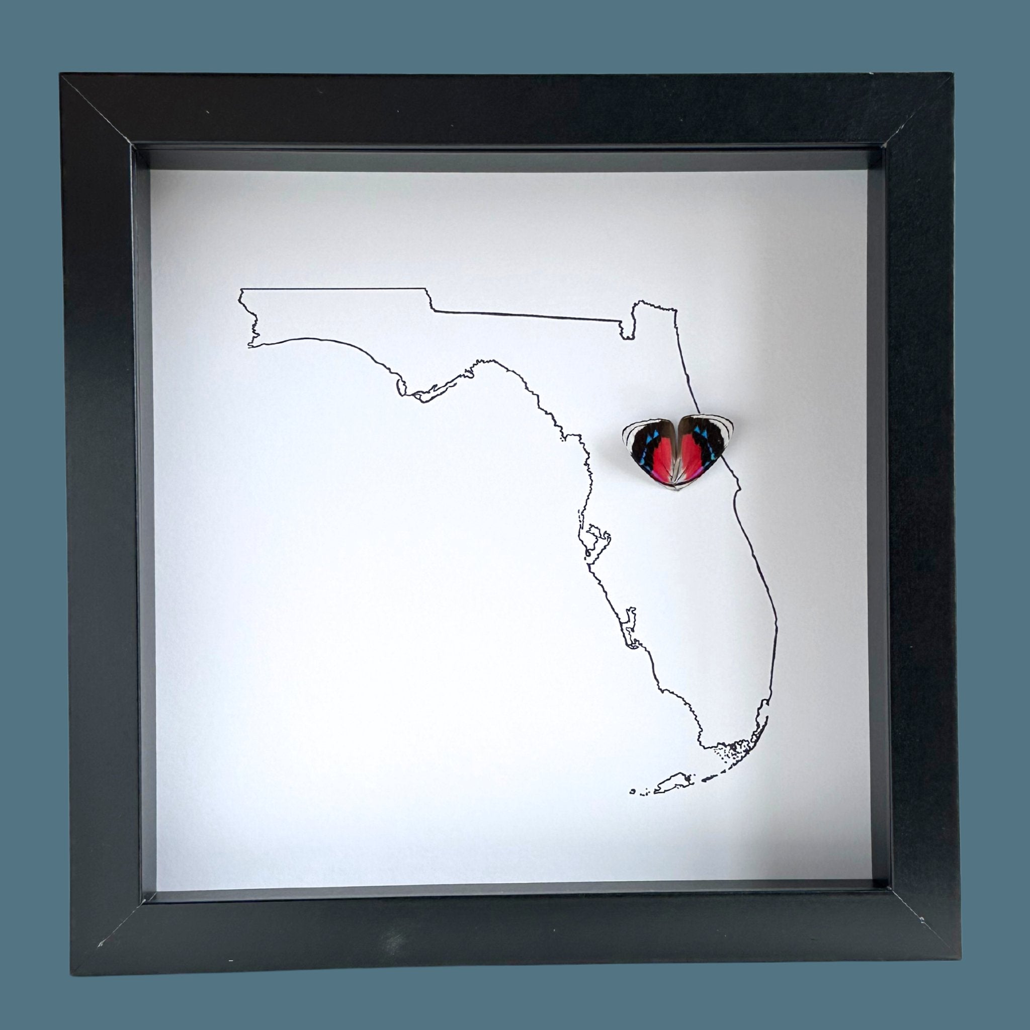 Custom City and State Hometown Framed Art with Real Butterfly Wings - Isms Butterfly Conservation ArtFramed Art