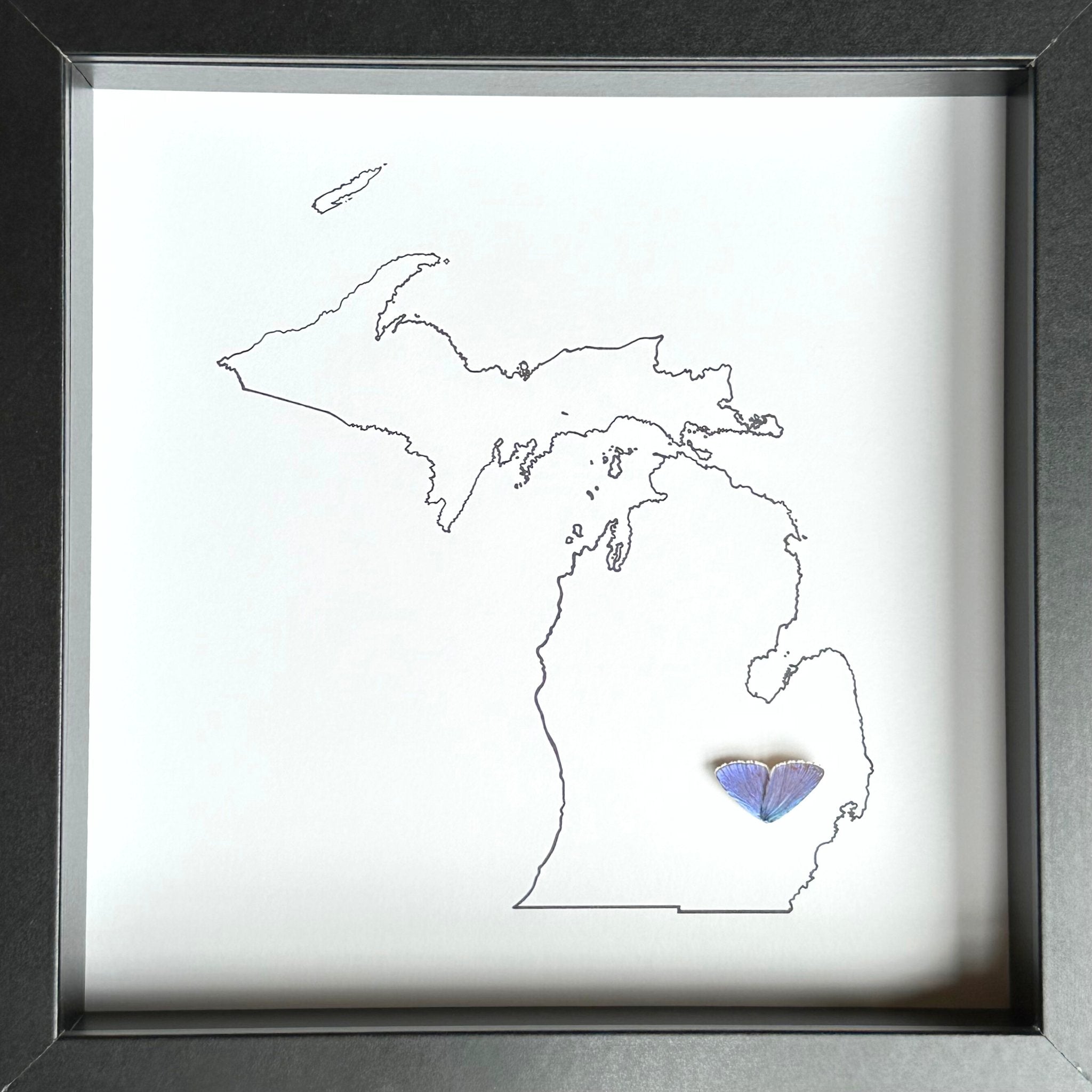 Custom City and State Hometown Framed Art with Real Butterfly Wings - Isms Butterfly Conservation ArtFramed Art