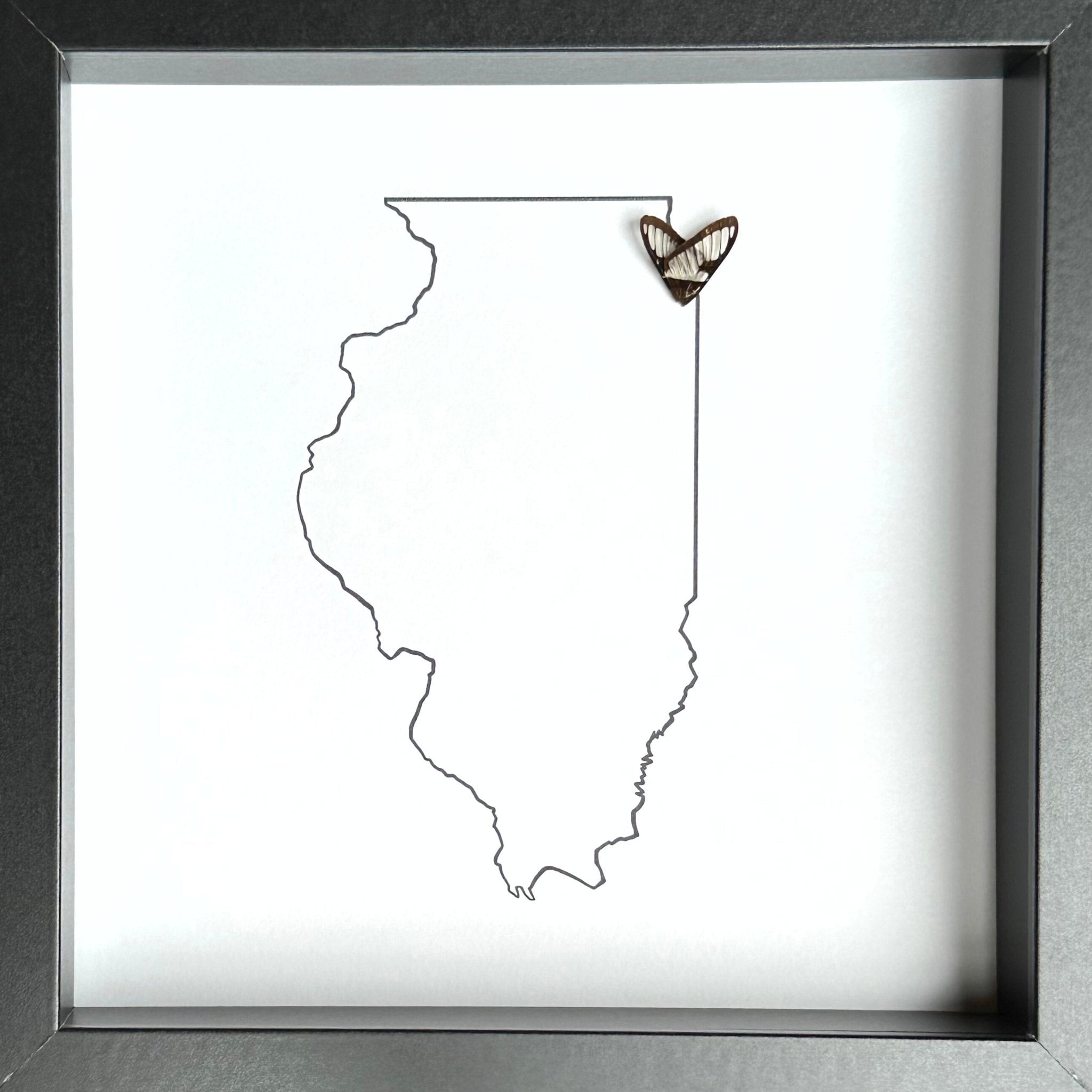 Custom City and State Hometown Framed Art with Real Butterfly Wings - Isms Butterfly Conservation ArtFramed Art